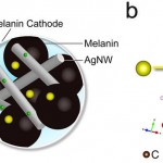 [PNAS]Figure